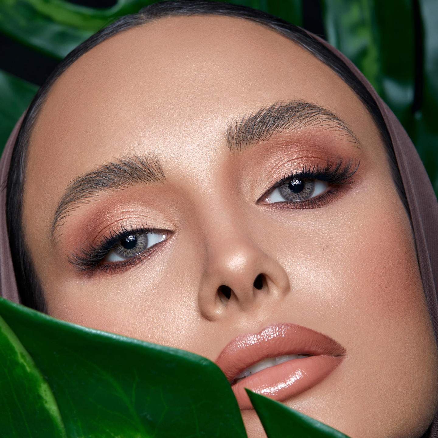 Shop Bella One-Day Color Contact Lenses - Earth in Earth online.