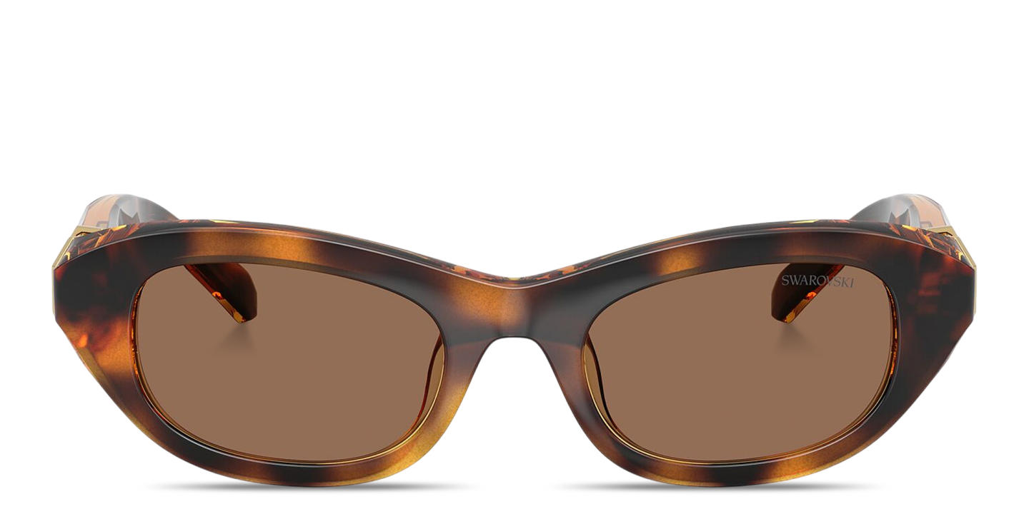 Shop Swarovski Crystal Pillow Sunglasses in Havana online.