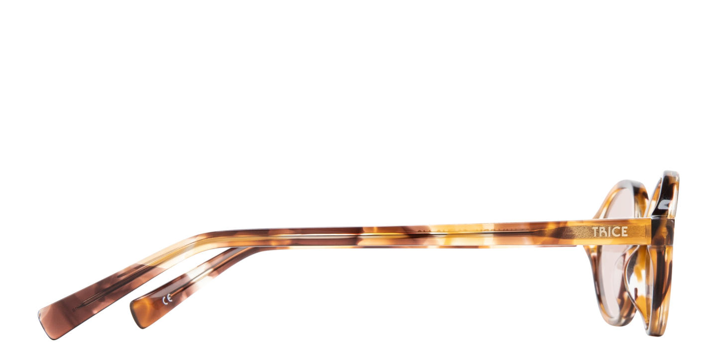 Shop TRICE Logo Oval Sunglasses in Havana online.