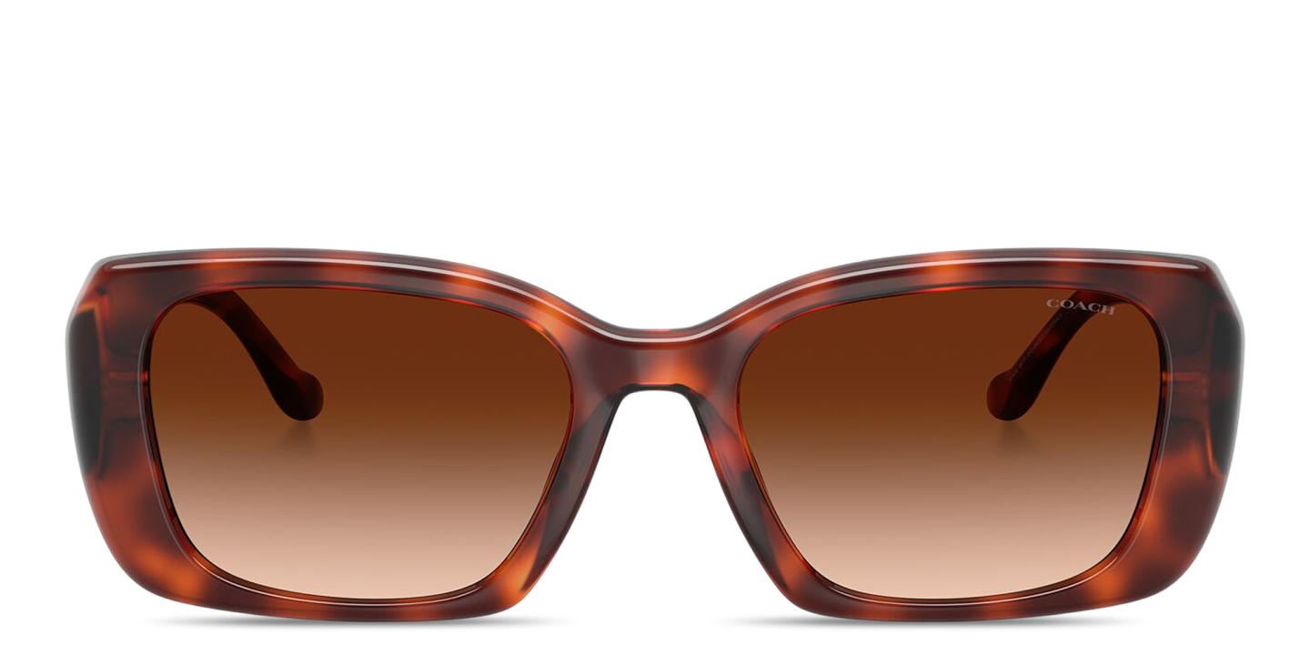 Shop Coach Logo Square Sunglasses in Caramel Tortoise online.