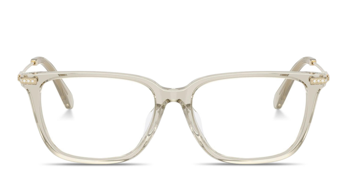 Shop Swarovski Crystal Pillow Eyeglasses in Transparent Beige online.