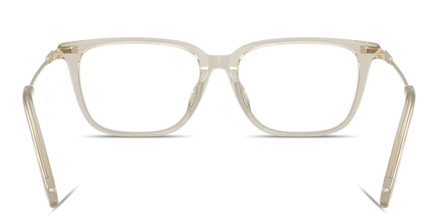 Shop Swarovski Crystal Pillow Eyeglasses in Transparent Beige online.