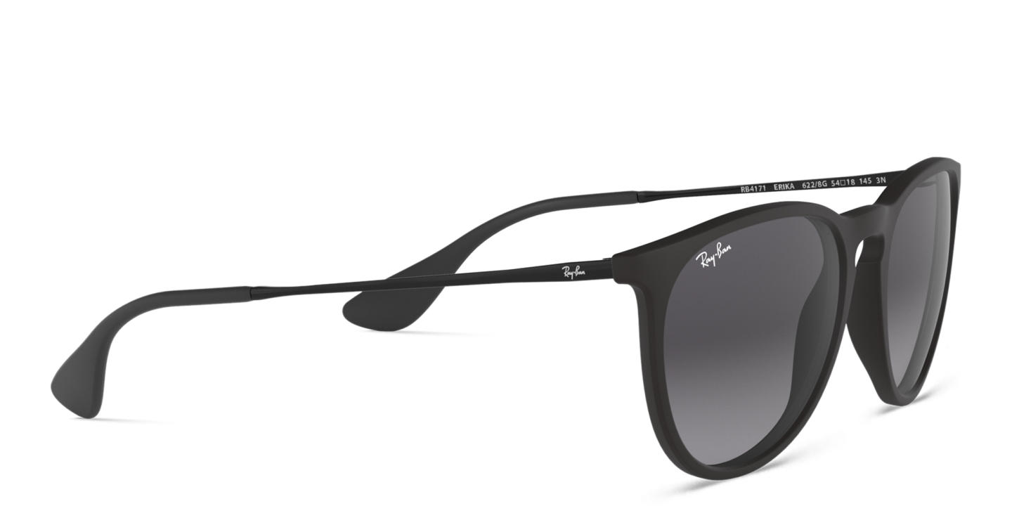 Ray-Ban Erika Panthos Sunglasses in Black – Product Photo 3