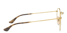 Shop Ray-Ban Round Metal Optics Eyeglasses in Gold online.