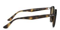 Ray-Ban Unisex Round Sunglasses in Light Havana – Product Photo 3