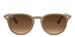 Ray-Ban Unisex Panthos Sunglasses in Brown – Product Photo 1