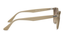 Ray-Ban Unisex Panthos Sunglasses in Brown – Product Photo 3