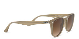 Ray-Ban Unisex Panthos Sunglasses in Brown – Product Photo 4