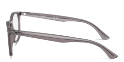 Shop Ray-Ban Optics Unisex Panthos Eyeglasses in Transparent Grey online.