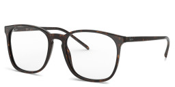Ray-Ban Square Eyeglasses in Tortoise – Product Photo 3