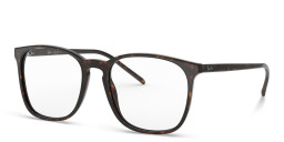 Shop Ray-Ban Unisex Square Eyeglasses in Polished Havana online.