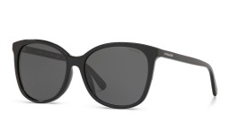 Coach Logo Lettering Square Sunglasses in Black – Product Photo 2