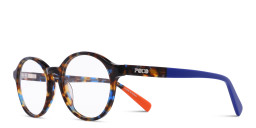 Shop Tempo Round Eyeglasses in Havana online.