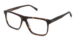 Shop EYE'M Square Eyeglasses in Havana online.