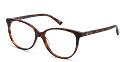 Shop EYE'M Cat Eye Eyeglasses in Havana online.