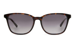 EYE'M Square Sunglasses in Havana – Product Photo 1