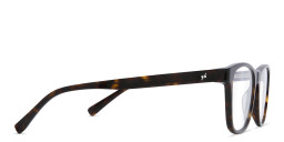 Shop EYE'M Square Eyeglasses in Havana online.