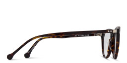 Belvie Unisex Round Eyeglasses in Havana – Product Photo 4