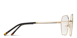 Belvie Oversized Irregular Eyeglasses in Black – Product Photo 4