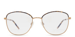 Shop Belvie Square Eyeglasses in Tortoise online.
