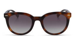 Shop Calvin Klein Round Sunglasses in Havana online.