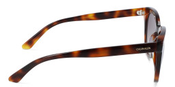 Calvin Klein Round Sunglasses in Havana – Product Photo 3
