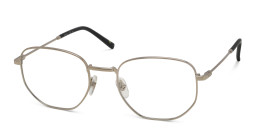 Shop EYE'M Irregular Eyeglasses in Silver online.