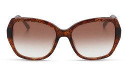 Shop Calvin Klein Square Sunglasses in Tortoise online.
