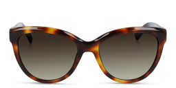 Calvin Klein Cat-Eye Sunglasses in Tortoise – Product Photo 1