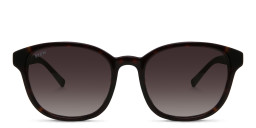 EYE'M Round Sunglasses in Brown/Brown Shaded – Product Photo 1