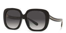 Coach C Motif Oversized Square Sunglasses in Black – Product Photo 2