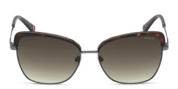 Guess Cat-Eye Sunglasses in Havana – Product Photo 1
