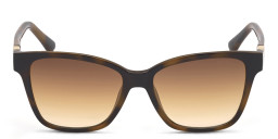 Guess Square Sunglasses in Havana – Product Photo 1