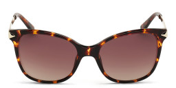 Shop Guess Square Sunglasses in Havana online.