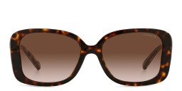 Coach Square Sunglasses in Tortoise/Dark Brown Gradient – Product Photo 1