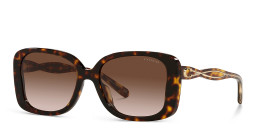 Coach Square Sunglasses in Tortoise – Product Photo 2