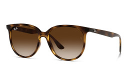 Shop Ray-Ban Square Sunglasses in Havana online.