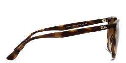 Shop Ray-Ban Square Sunglasses in Havana online.