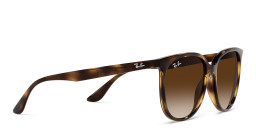 Shop Ray-Ban Square Sunglasses in Havana online.