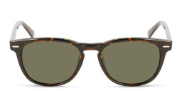 Shop Calvin Klein Unisex Round Sunglasses in Brown online.