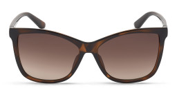 Shop Guess Square Sunglasses in Havana online.