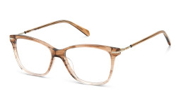 Fossil Cat in Brown – Product Photo 2