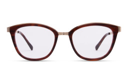 Zhantai Cat in Brown – Product Photo 1