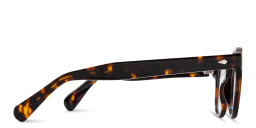 Shop DRM 99 JST Unisex Round Eyeglasses in Havana online.