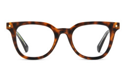 Polaroid Square Eyeglasses in Havana – Product Photo 1