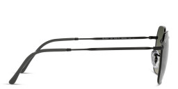 Shop Ray-Ban Jim Unisex Irregular Sunglasses in Black online.