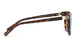 Shop Coach Horse and Carriage Logo Round Sunglasses in Havana online.