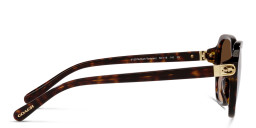 Coach Irregular Sunglasses in Tortoise – Product Photo 3