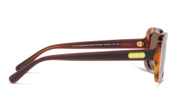 Coach Oval Sunglasses in Havana – Product Photo 3