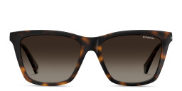 Polaroid Square Sunglasses in Havana – Product Photo 1